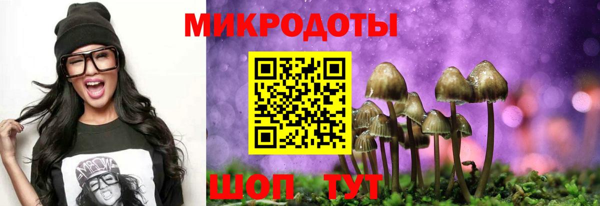 Псилоцибиновые грибы Cubensis  Галлюциногенные грибы MAGIC MUSHROOMS  Мирный  Вход с VPN 